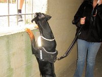 Brisco0050